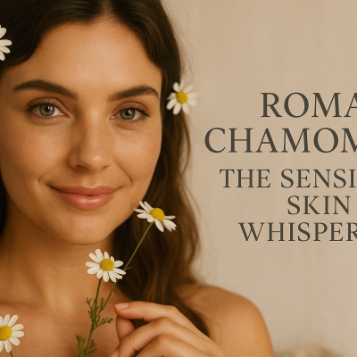Roman Chamomile: The Sensitive Skin Whisperer